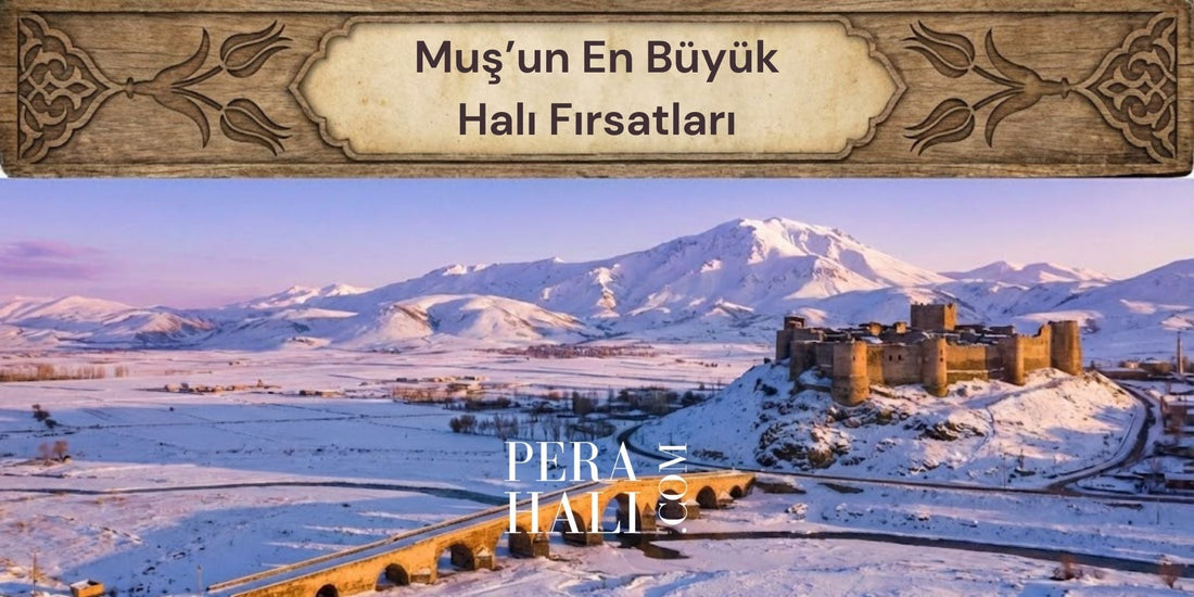 Muş'un En Büyük Halı Fırsatı