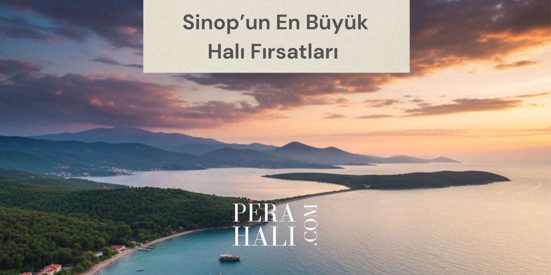 Sinop'un En Büyük Halı Fırsatları