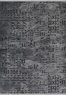 NEVA-Antrasit/Siyah- Özel Ölçü-Oturma Odası, Koridor Halısı-KaymazTaban-Robot Süpürgeye Uyumlu-Kolay Temizlenebilir-Uygun Fiyat