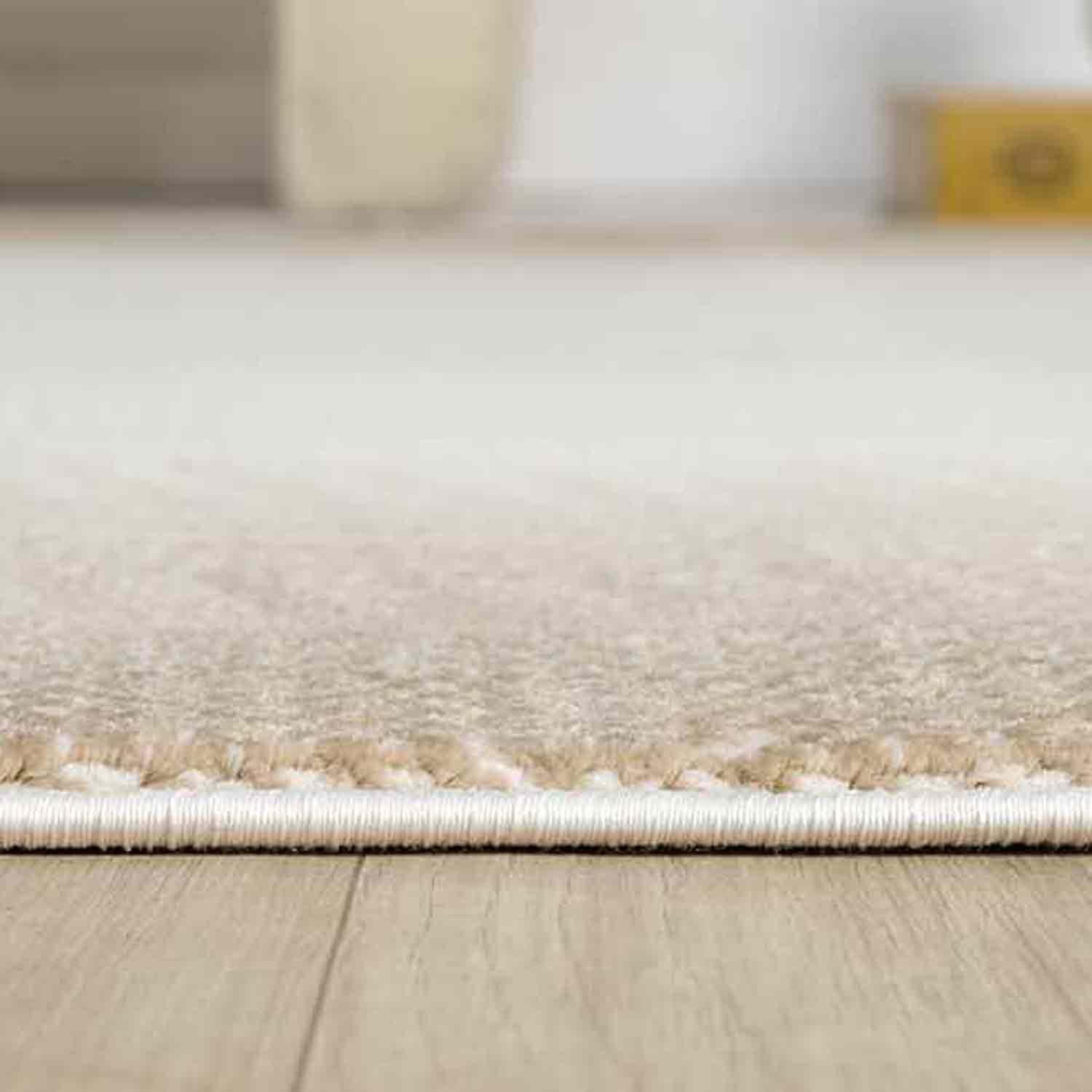 Krem Bej Gradien Bordürlü Modern Halı